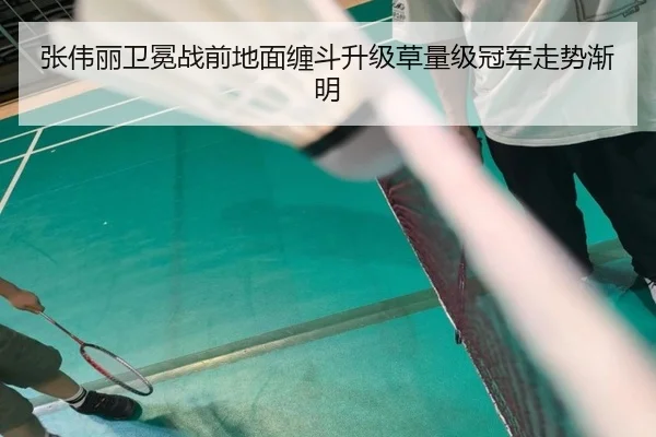 张伟丽卫冕战前地面缠斗升级草量级冠军走势渐明